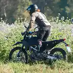 KTm joe uno