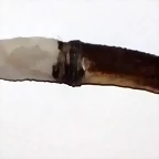 SILEX