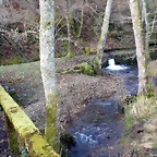 DSCN4634