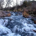 DSCN6702