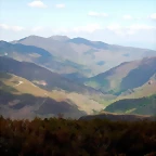 DSCN9554