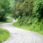 11-IMG_6851