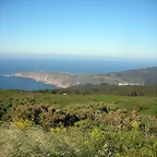 DSCN6834