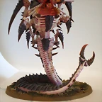 Mawloc Tirnido (12)