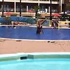 Video Hugo IG Stories 11-7-2017 (2)