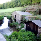 DSCN2410