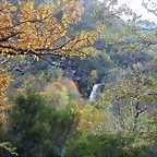 DSCN6130