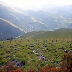 DSCN1004