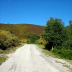 DSCN0968