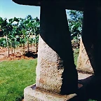 tornaformigas