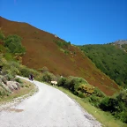 DSCN0970