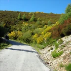 DSCN0971