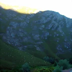 DSCN1012