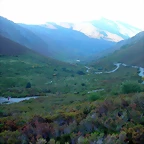 DSCN1008