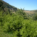 DSCN0952
