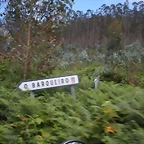 DSCN6737