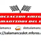 ASOCIACION AMIGOS SALMANTINOS DEL SLOT avatar2