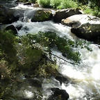 DSCN2777