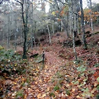 DSCN1816