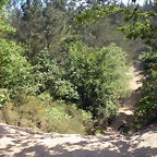 DSCN5299