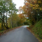 DSCN5916