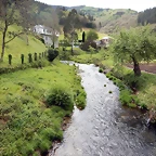 DSCN0604