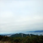 DSCN0142