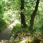 DSC04953