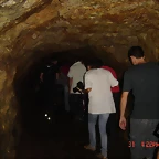 DSC04950