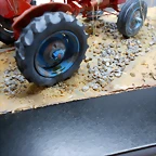 DSCN5433