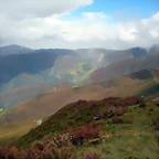 DSCN6352