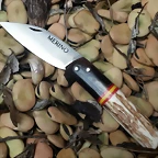 Jarota 9