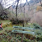 DSCN2088
