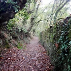 DSCN2627