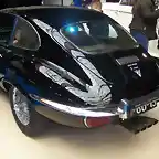 jaguar (1)