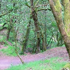 28-IMG_1705