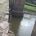 DSCN5406