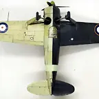SDC39973