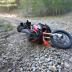 53