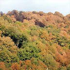 DSCN8308