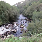 26-IMG_2725