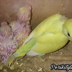 FB_IMG_1574040078872