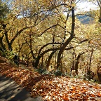 DSCN9027