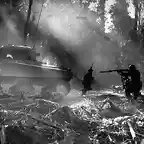 Tras un Sherman LUCKY LEGS II marines  Bouganville, Islas Salomon,  japoneses que se han infiltrado en sus lineas durante la noche. Marzo 1944