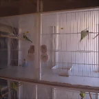 P3150017
