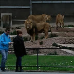 Zoo de Barcelona 15-02-11 614