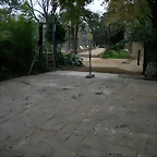 Zoo de Barcelona 15-02-11 596