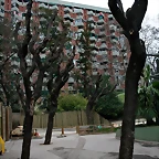 Zoo de Barcelona 15-02-11 622