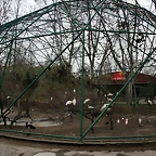 Zoo de Barcelona 15-02-11 636