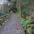 DSCN3758
